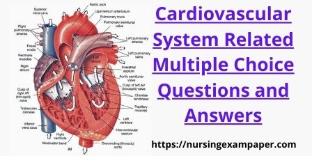 Cardiovascular System Related Multiple Choice Questions and Answers