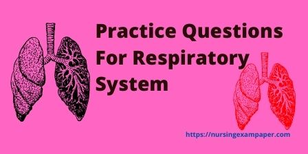 Practice Questions For Respiratory System related MCQs for nurses