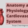 Anatomy and Physiology of Cardiovascular System