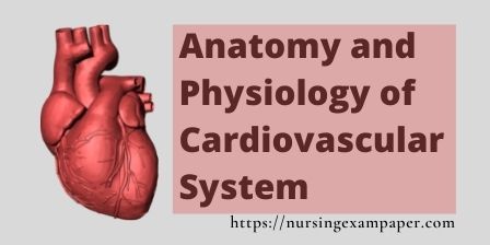 Anatomy and Physiology of Cardiovascular System