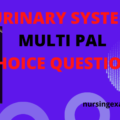 Multiple-choice questions about the function of the urinary system. renal physiology test bank, renal calculi, kidney anatomy MCQs