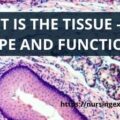 TYPES OF TISSUE AND FUNCTION