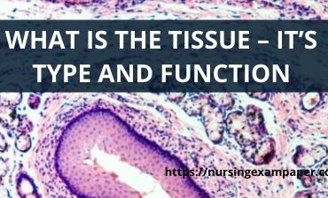 TYPES OF TISSUE AND FUNCTION