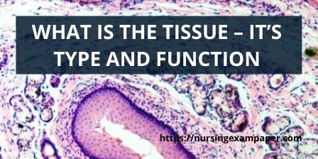 TYPES OF TISSUE AND FUNCTION