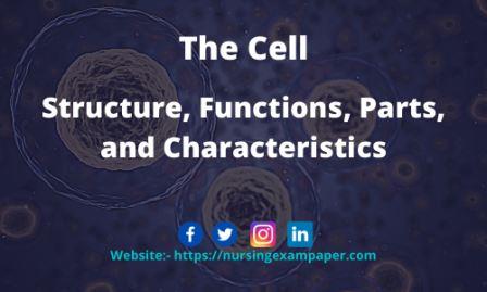 Its Structure, Functions, The cell Parts, and Characteristics