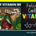 Vitamin B9 functions Food Sources of folic acid & Deficiency Diseases