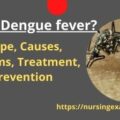 dengue fever types symptoms treatment and prevention n