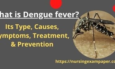 dengue fever types symptoms treatment and prevention n