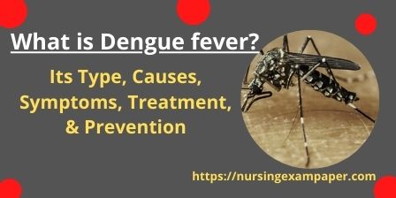 dengue fever types symptoms treatment and prevention n