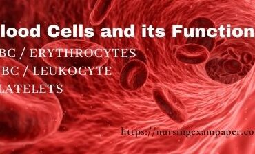 Blood Cells and its Functions