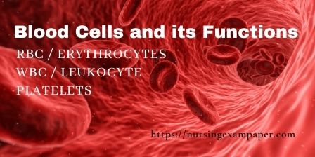 Blood Cells and its Functions