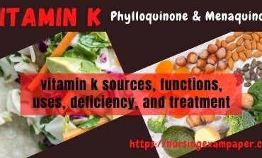 Vitamin k Deficiency Sources (Rich foods) functions