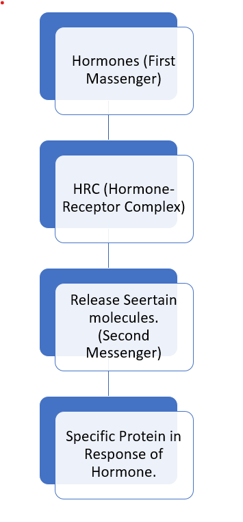 Mechanism of action of group II hormones