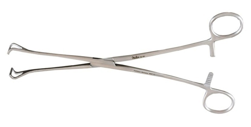 Babcock forceps 