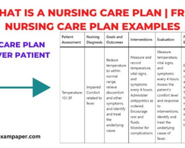 nursing process defined